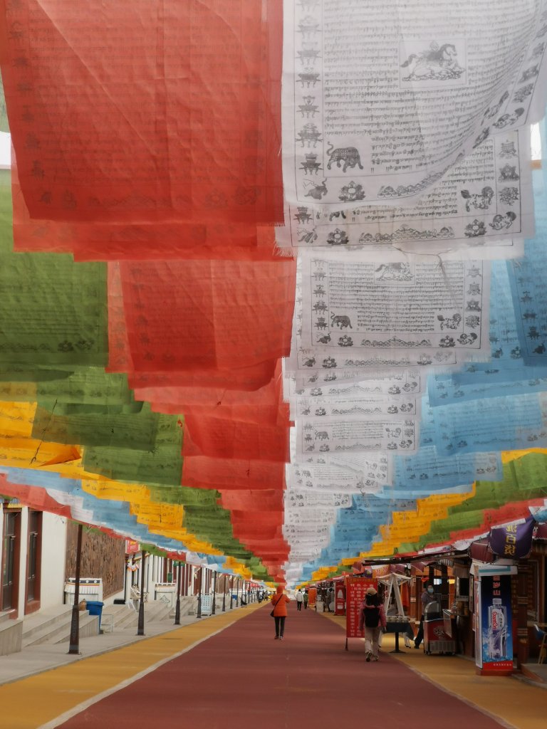 IMG_20251025_120154.jpg