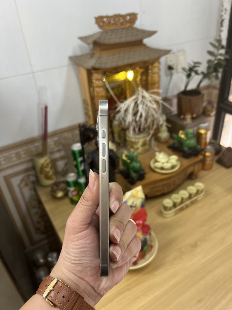 IMG_8419.jpeg
