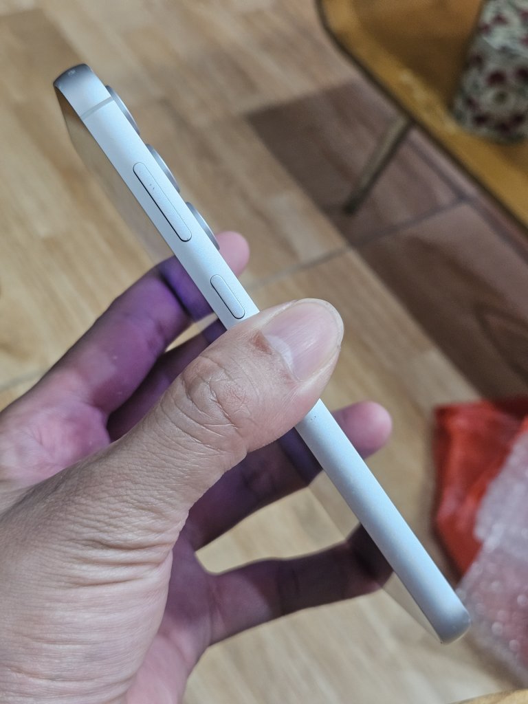 33353.jpg