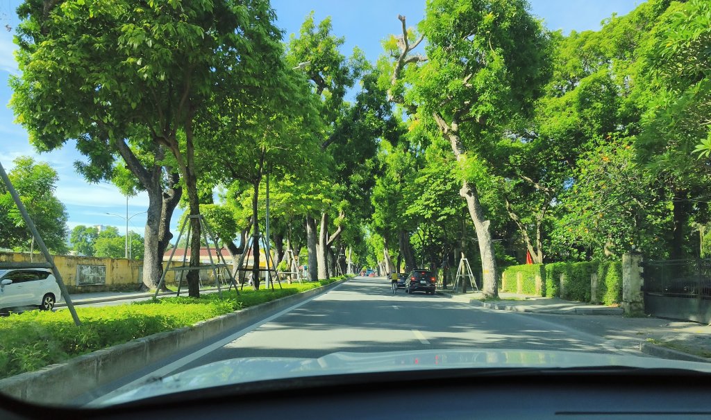 3955.jpg