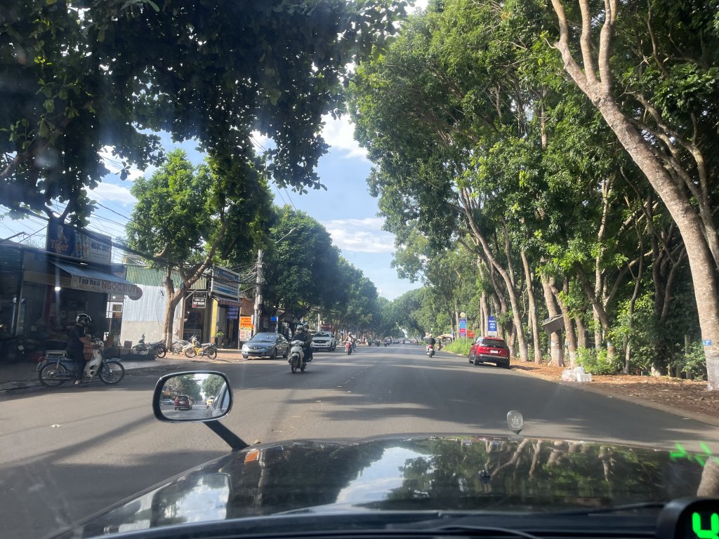 IMG_9105.jpeg