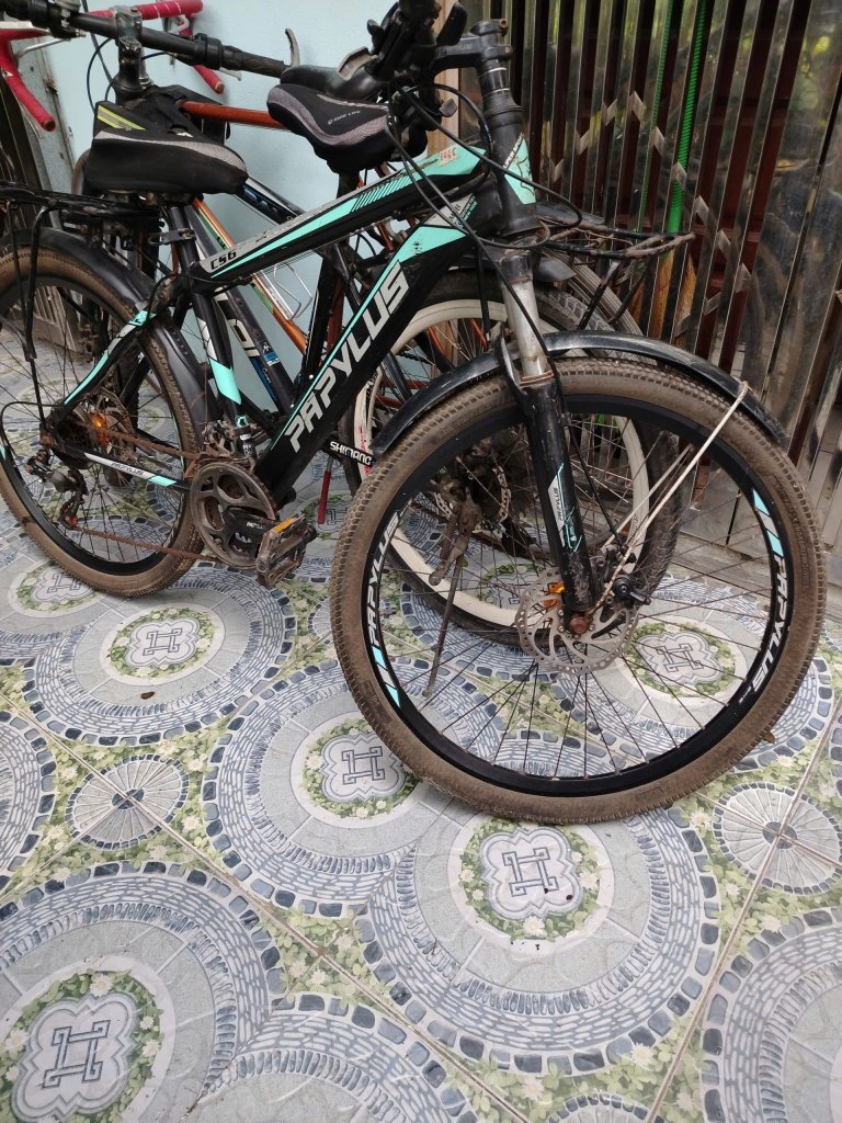 42815.jpg