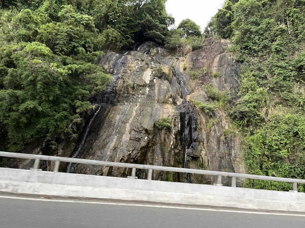 IMG_9238.jpeg