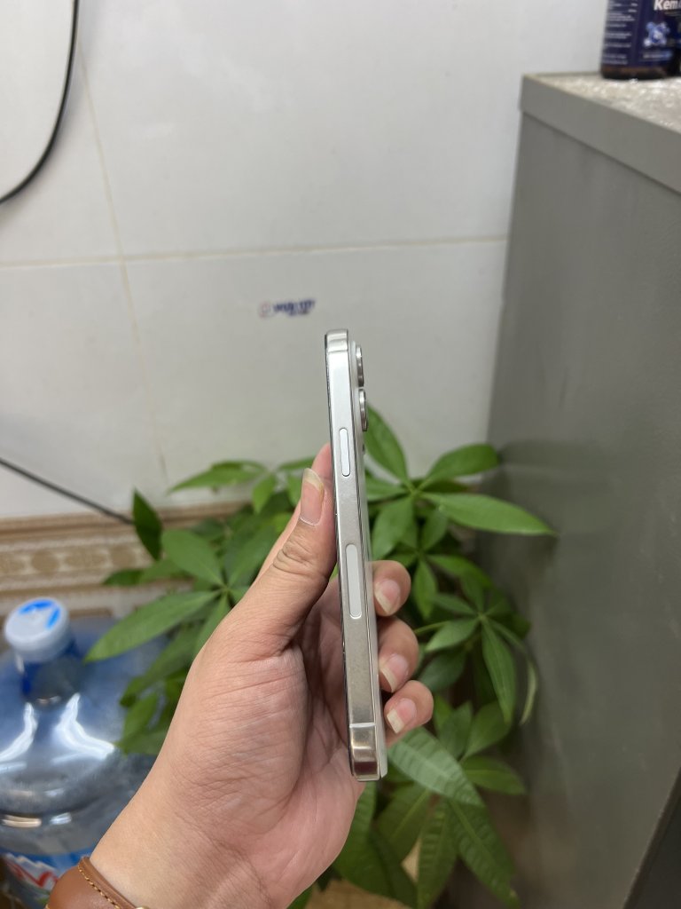 IMG_8570.jpeg