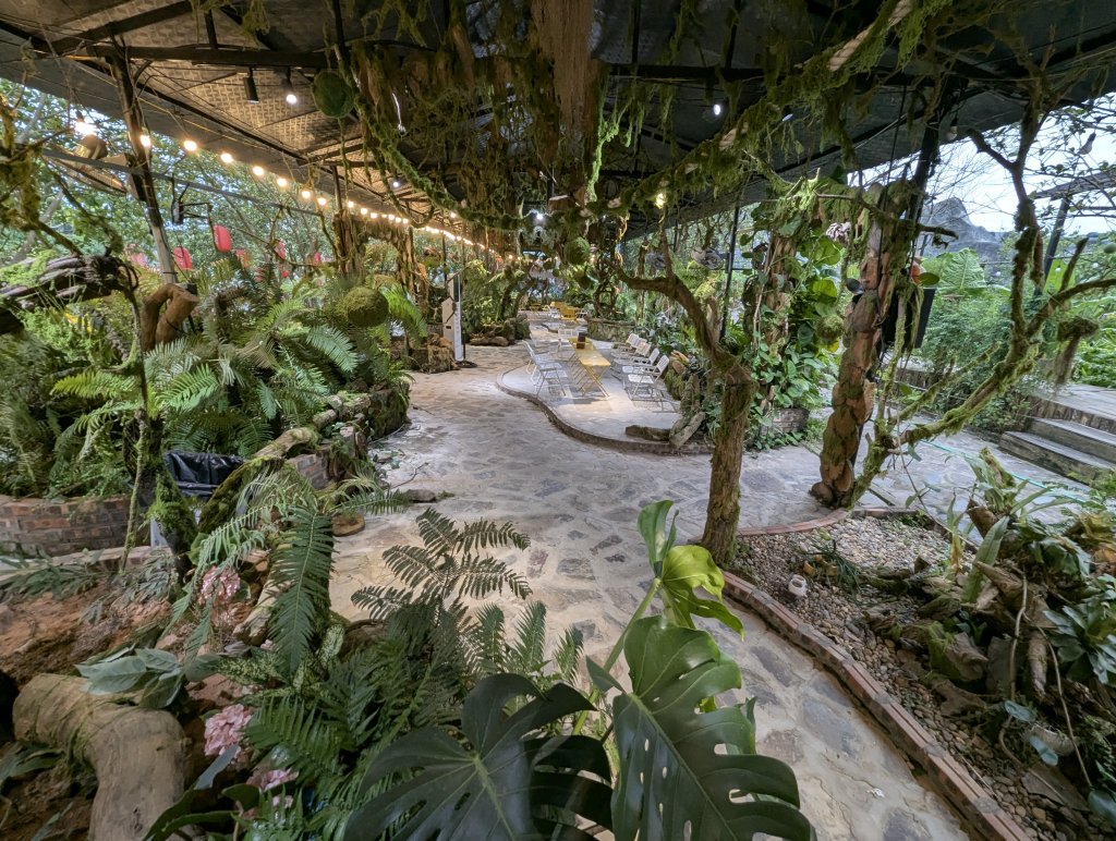 PXL_20260719_111635478.RAW-01.COVER.jpg