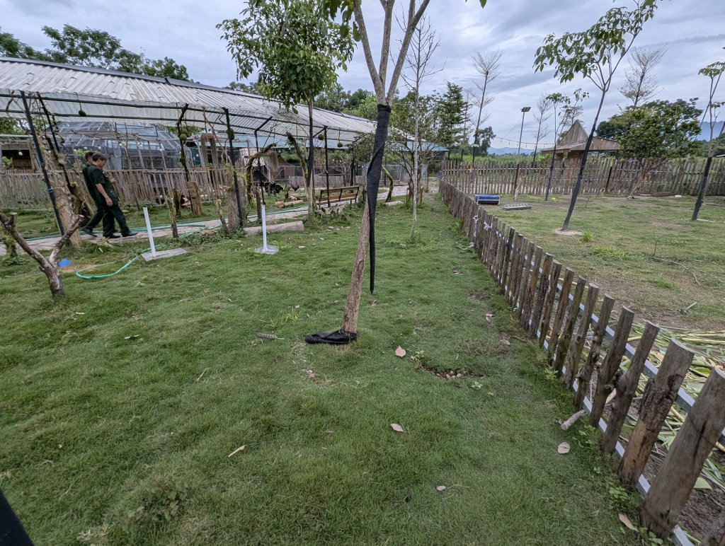 PXL_20260719_111810469.RAW-01.COVER.jpg