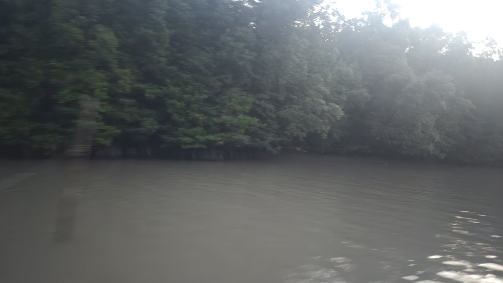 20260720_183800.jpg