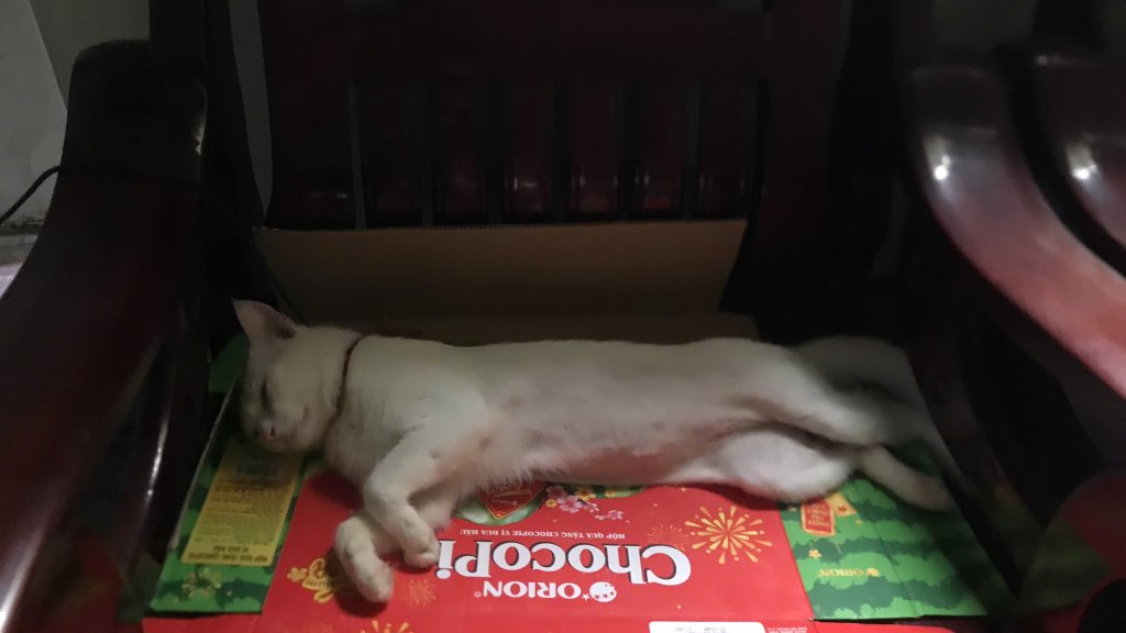 1000012568.jpg
