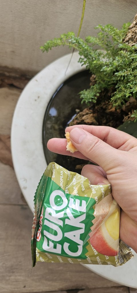 1000051154.jpg