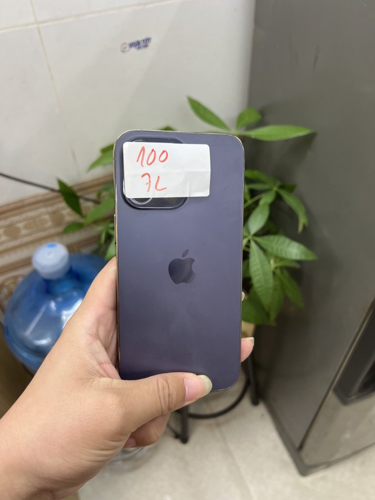 IMG_8703.jpeg