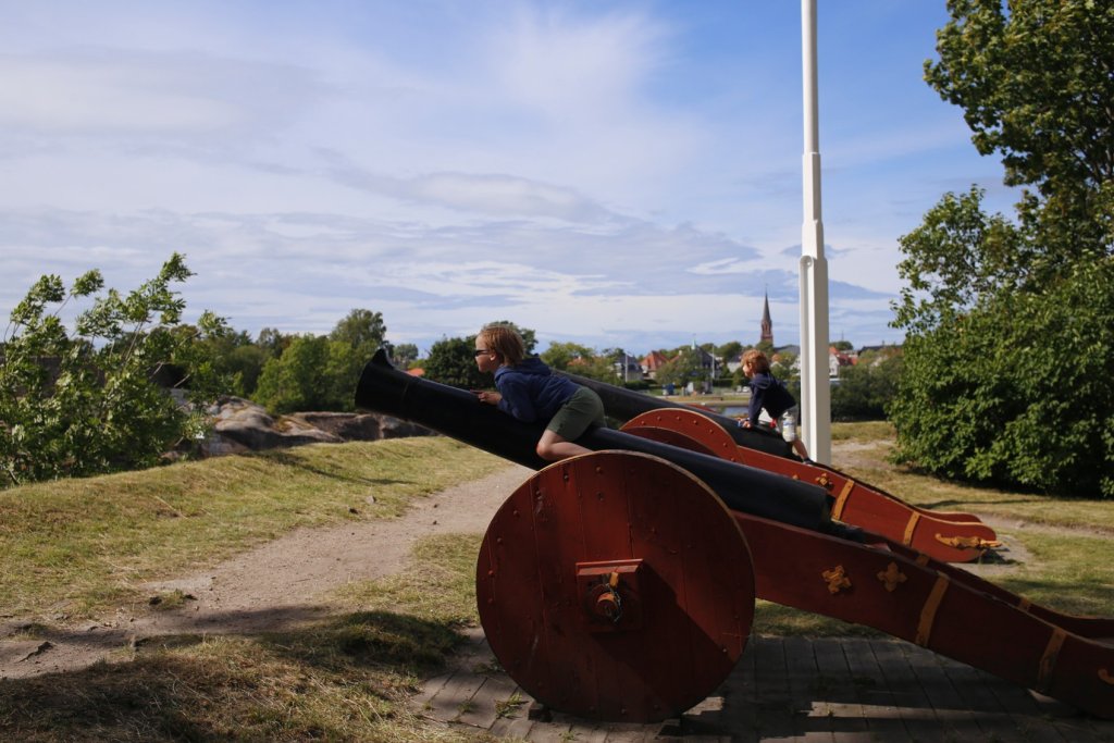 _MG_9901.JPG