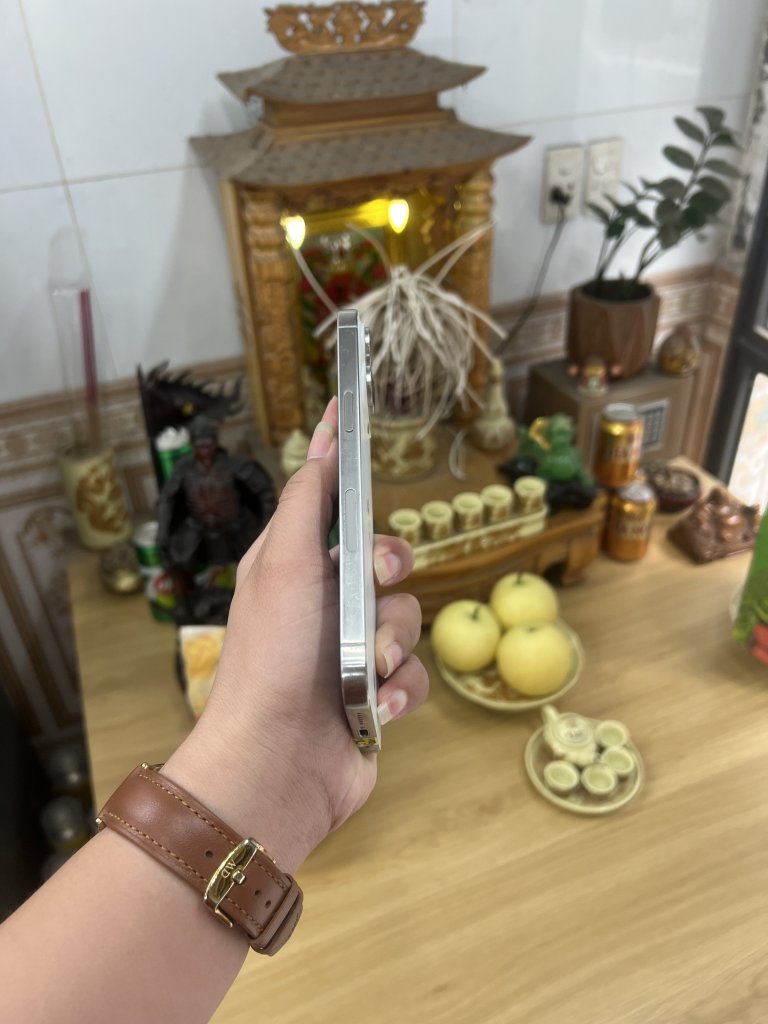 IMG_8725.jpeg