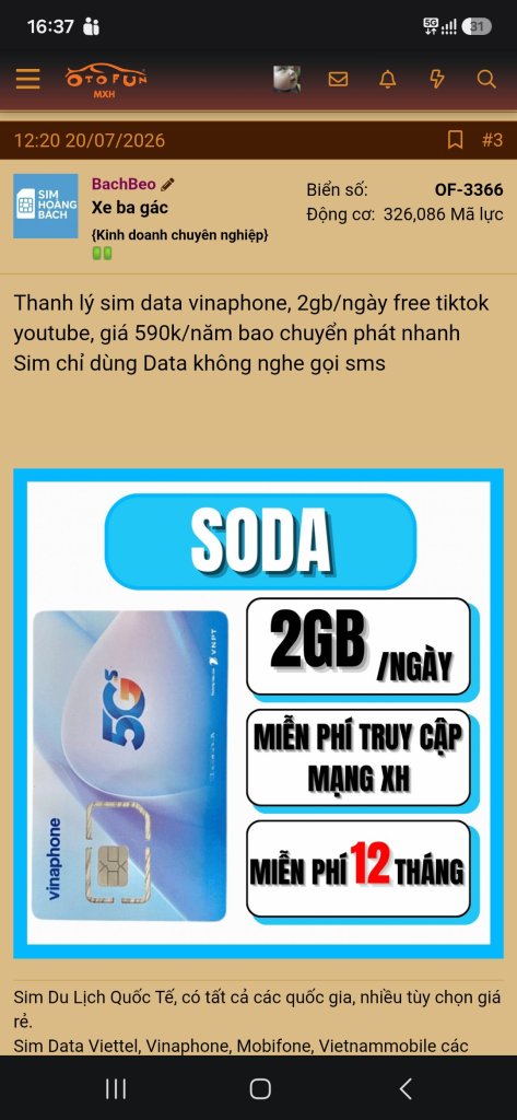 2965.jpg