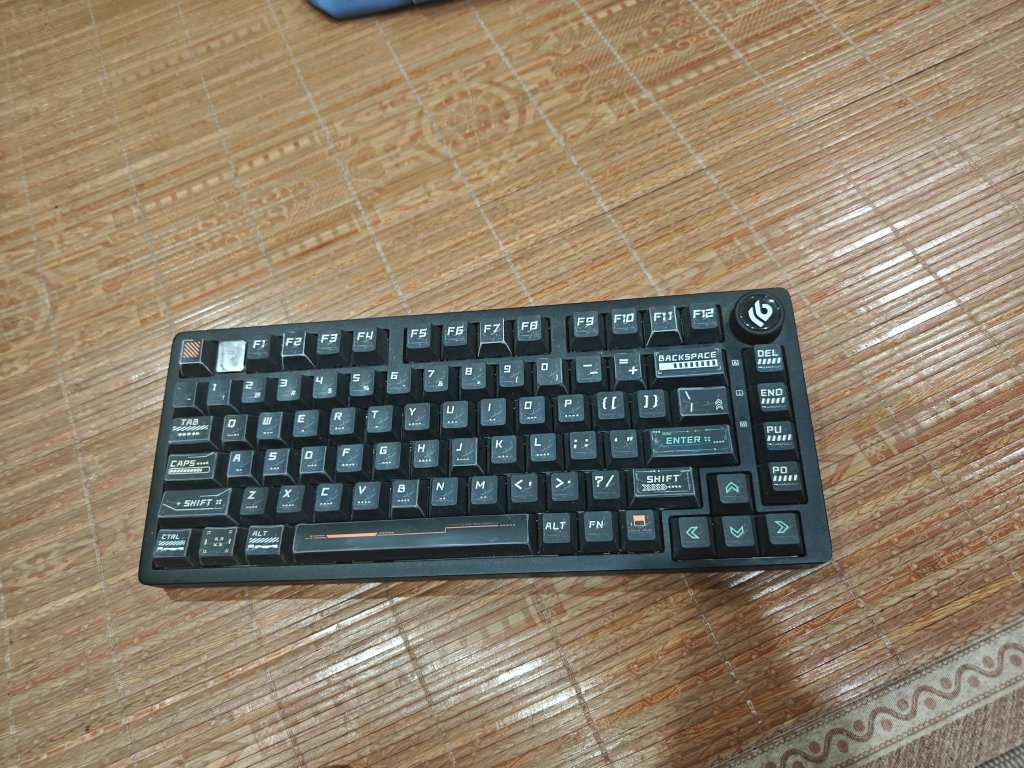 4604.jpg