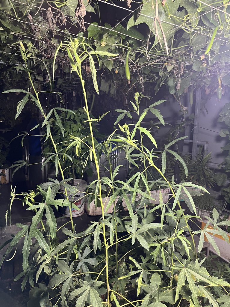 IMG_2604.jpeg