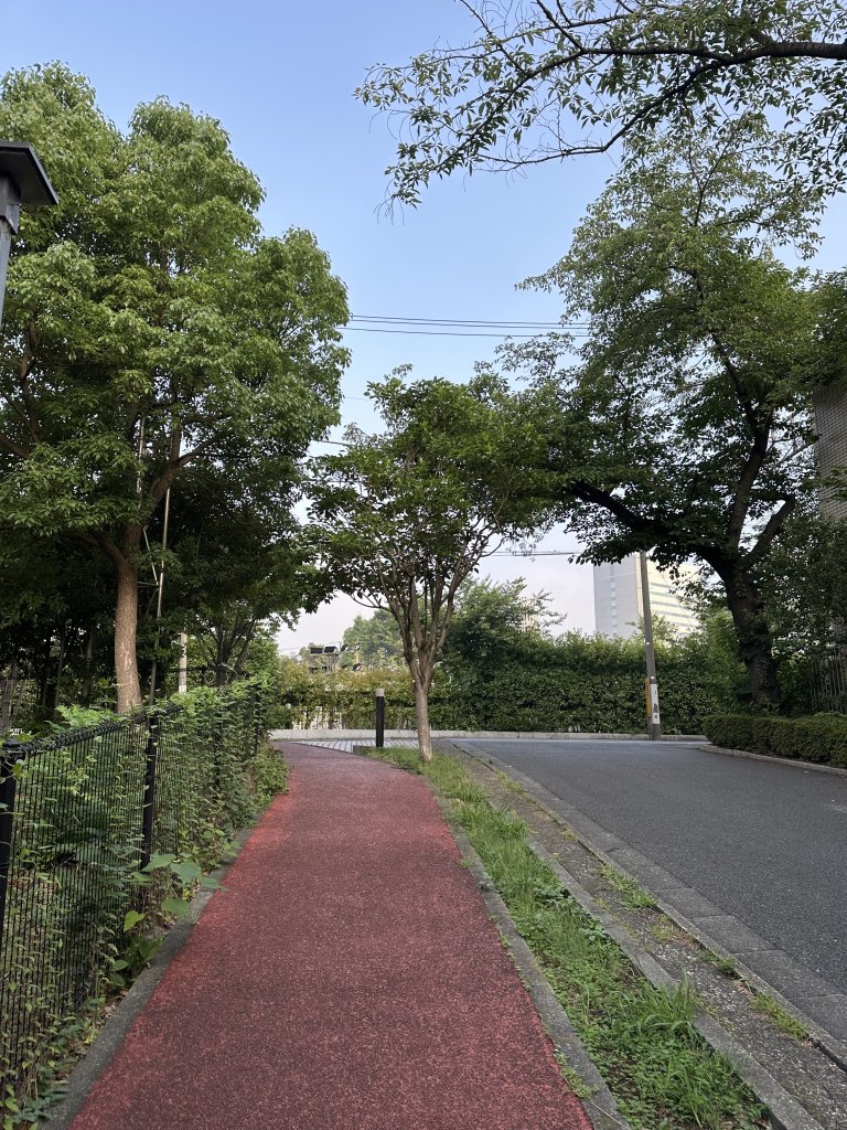 IMG_1602.jpeg