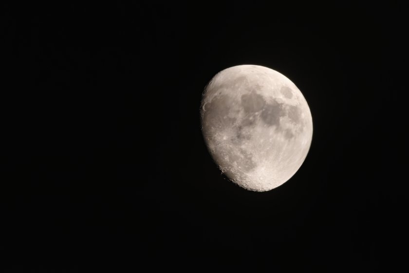 IMG_3339.JPG