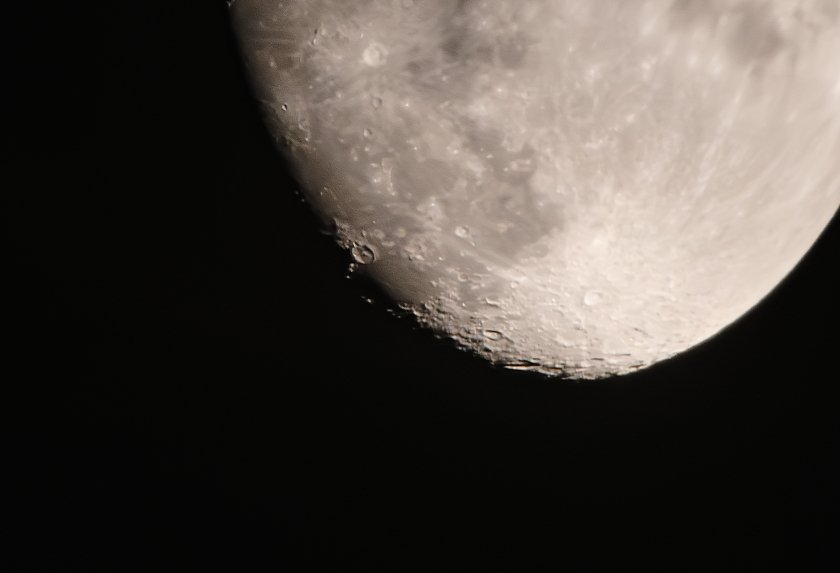 IMG_3339Crop.JPG