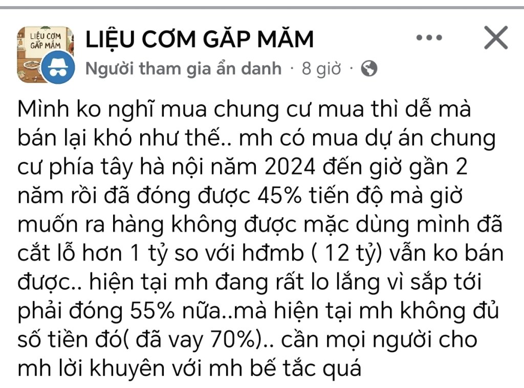 4081.jpg
