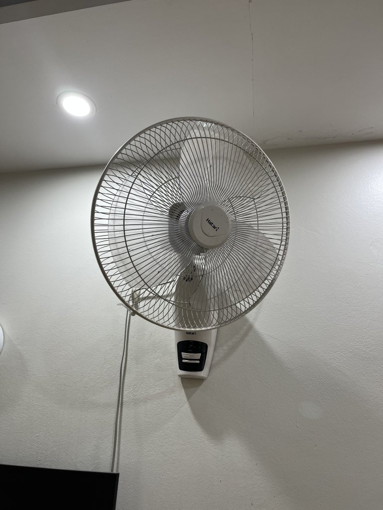 IMG_0365.jpeg