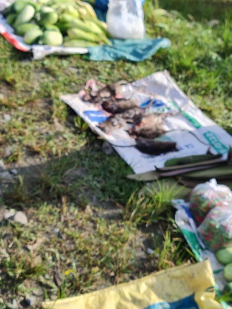 20260726_074746.jpg
