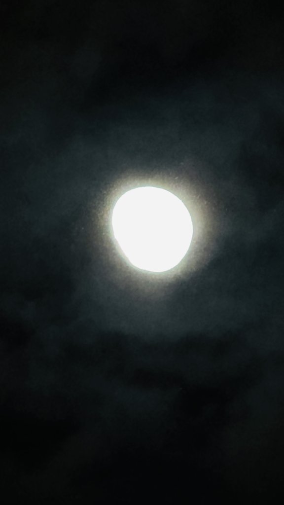 IMG_8335.jpeg