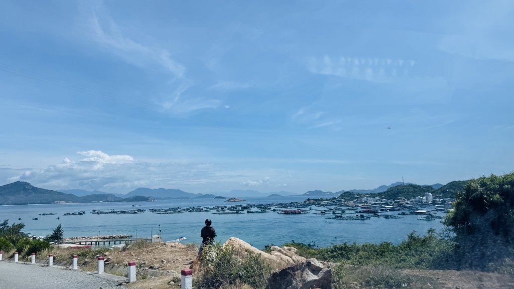 IMG_8550.jpeg