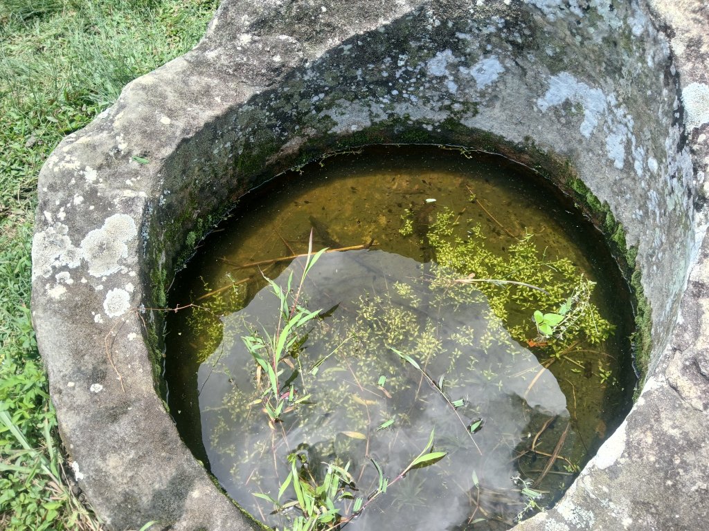 20260725_123835.jpg