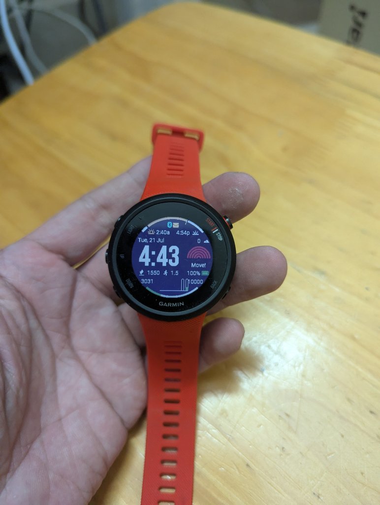 3077.jpg
