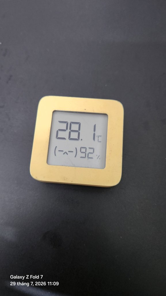2453.jpg