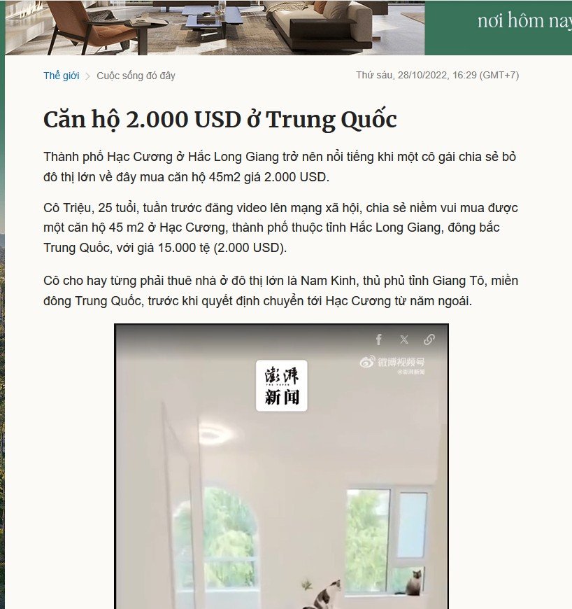 33333.jpg
