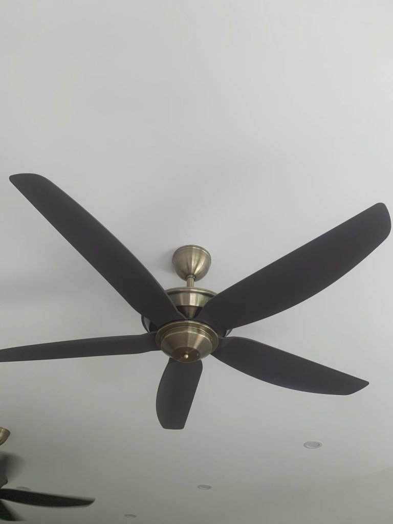 IMG_8093.jpeg