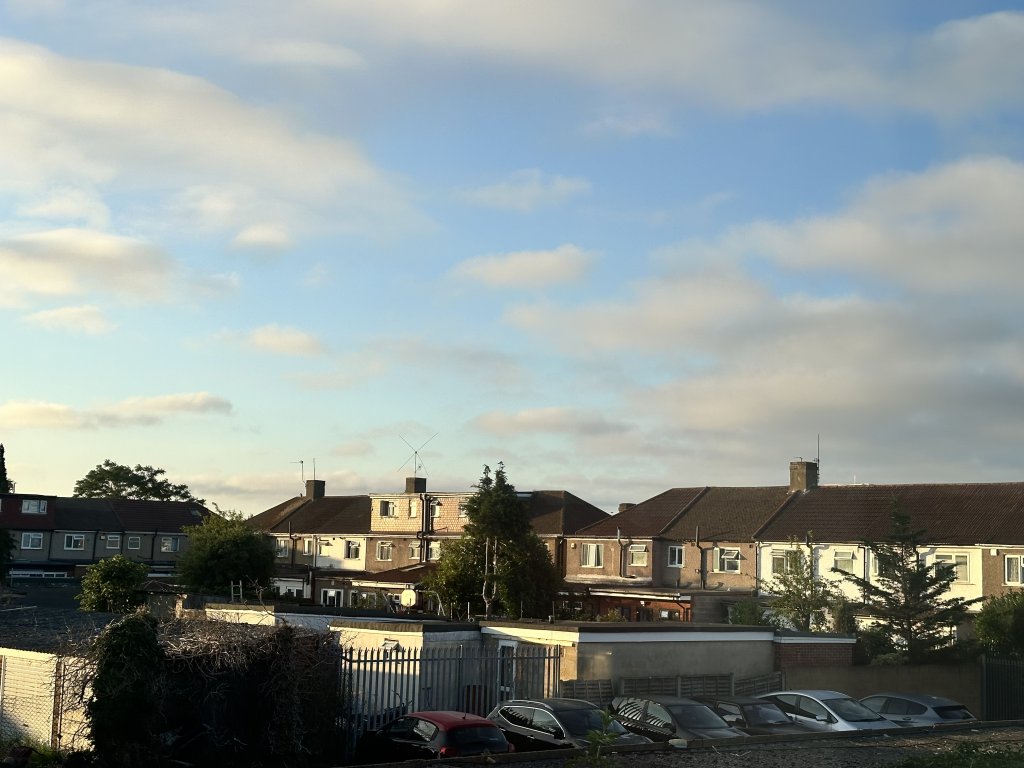 IMG_2005.jpeg