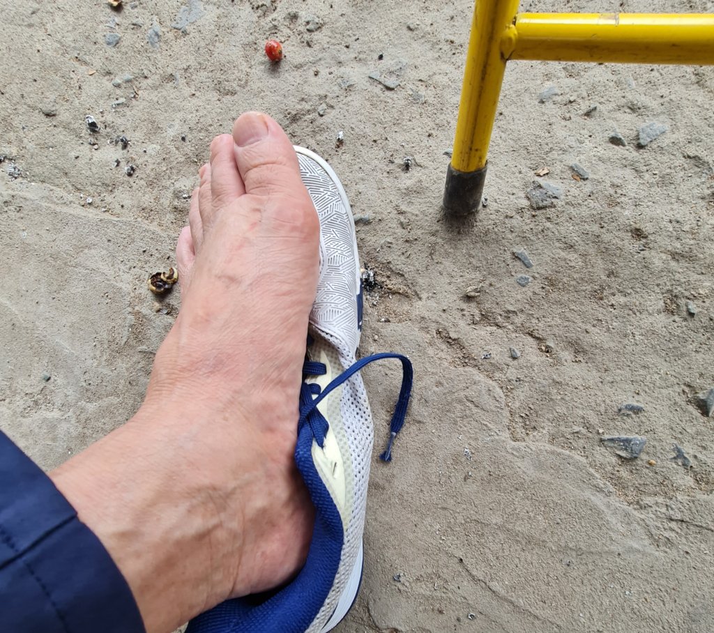 20260730_093532.jpg