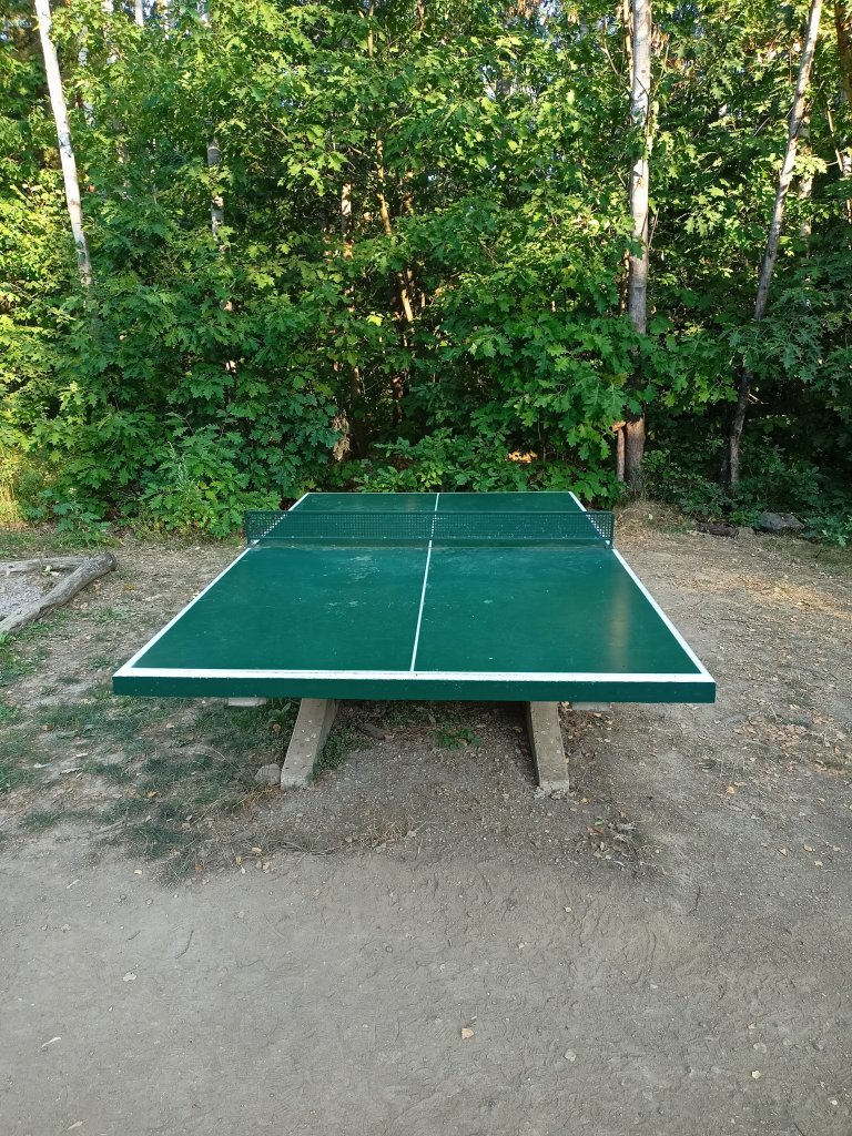 IMG20260730071744.jpg