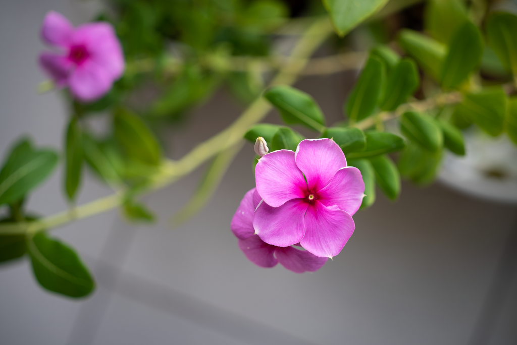 DSC00927.png