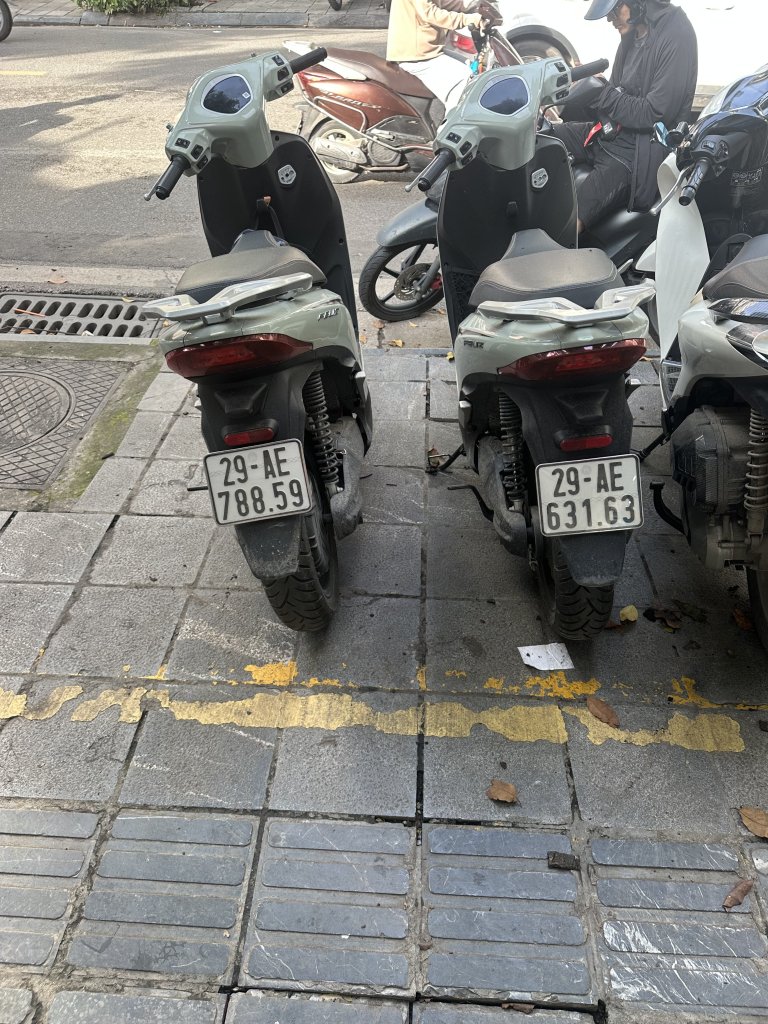 IMG_9140.jpeg