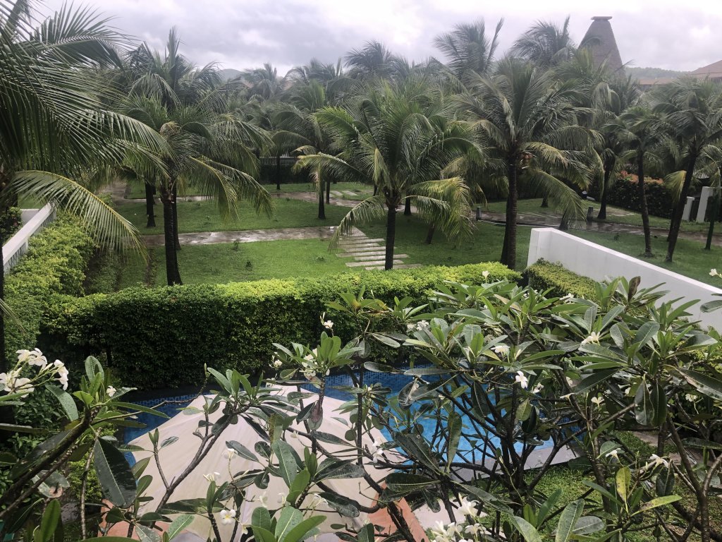 IMG_6244.jpeg