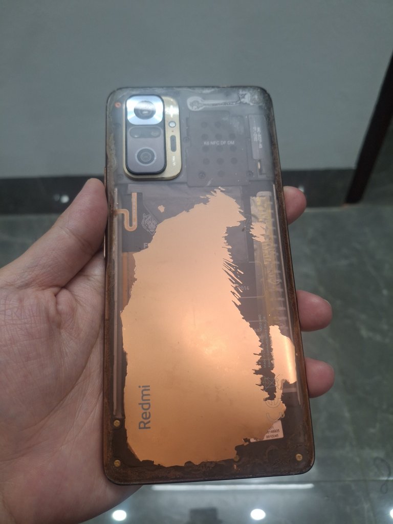 1000064780.jpg