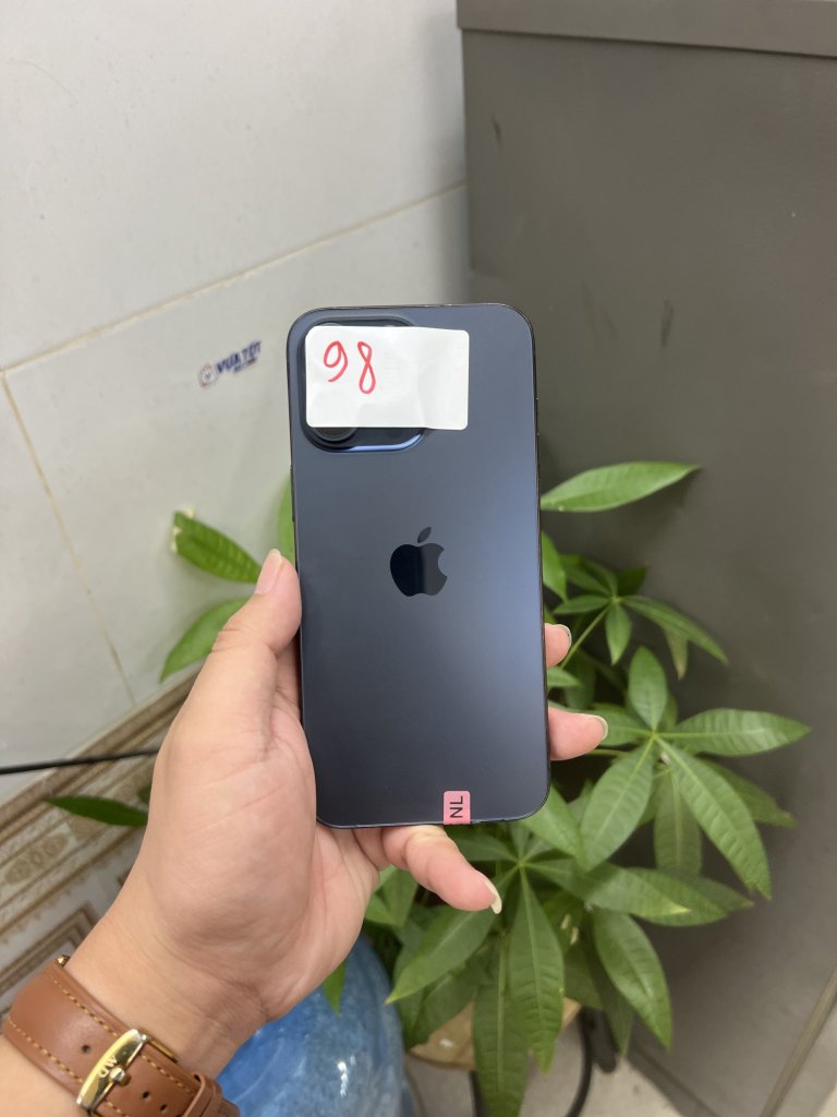 IMG_9113.jpeg