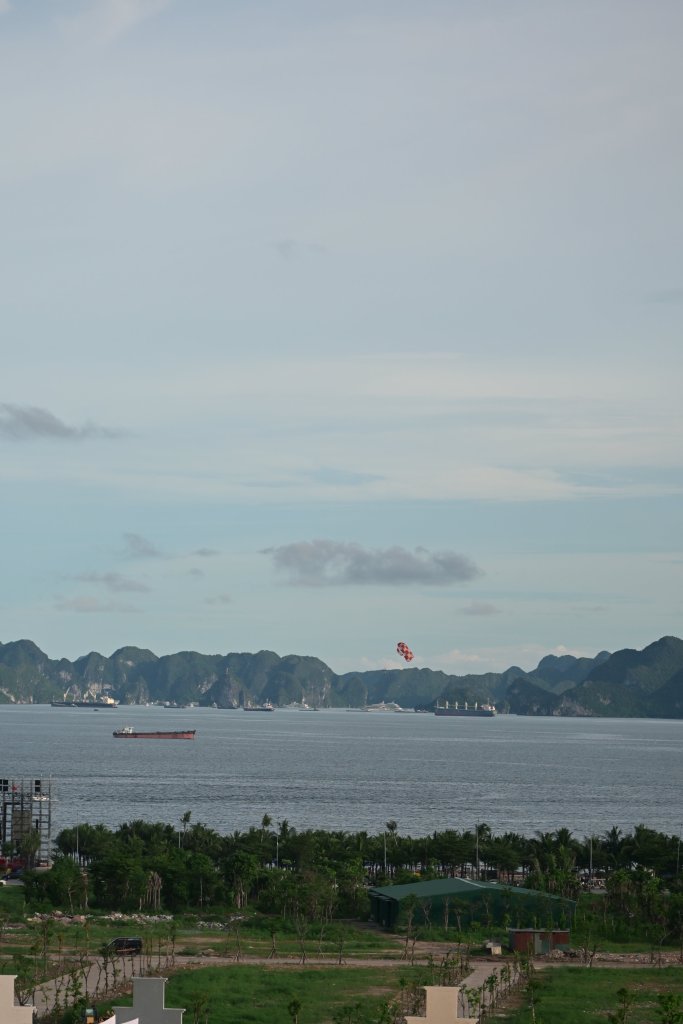 DSC_7795.jpeg