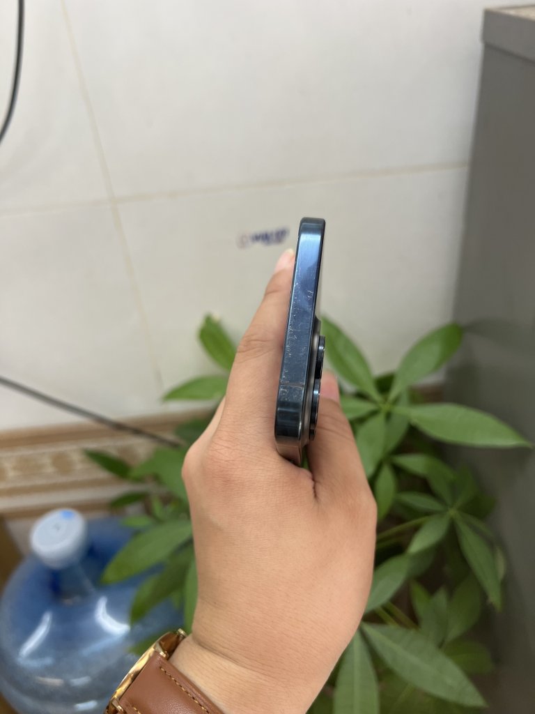 IMG_9216.jpeg