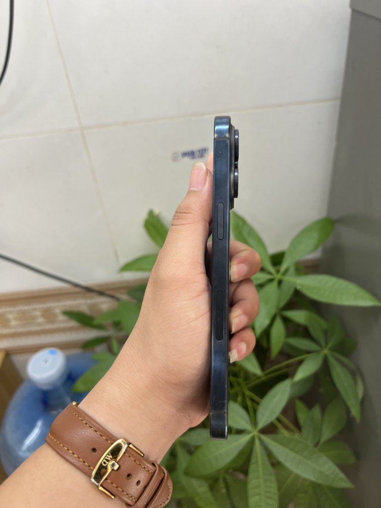 IMG_9217.jpeg