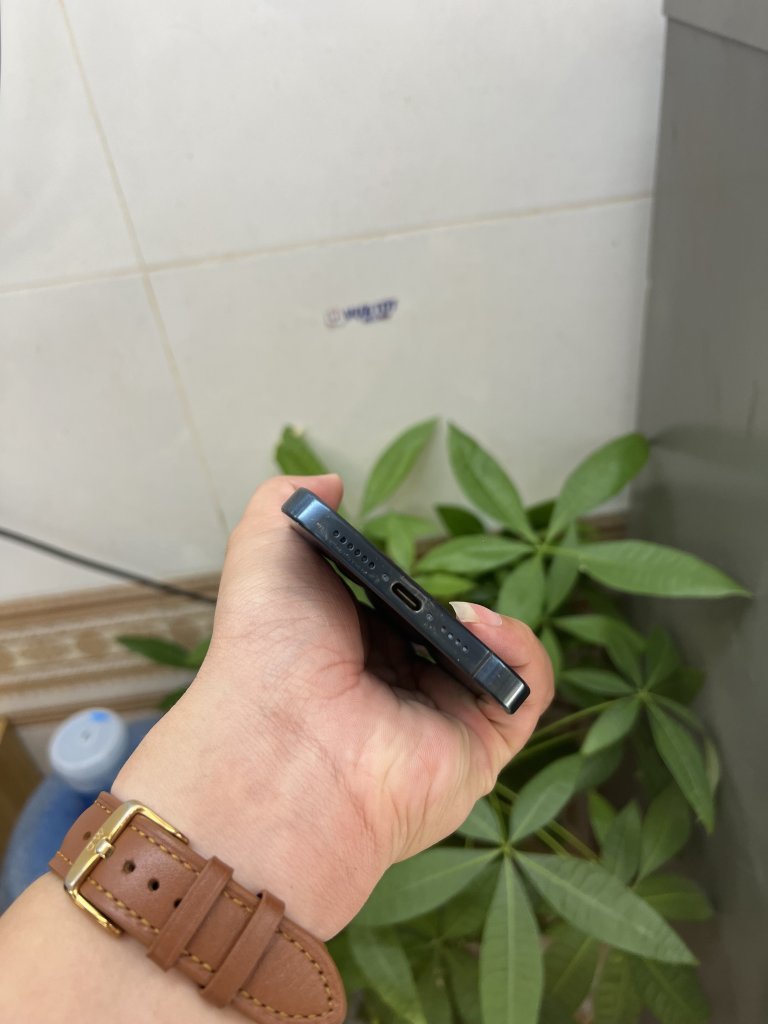 IMG_9218.jpeg