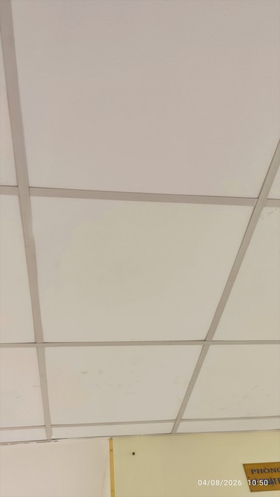 1000014568.jpg