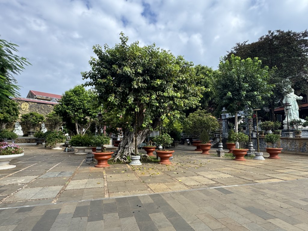 IMG_3157.jpeg