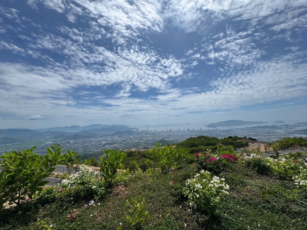 IMG_3244.jpeg