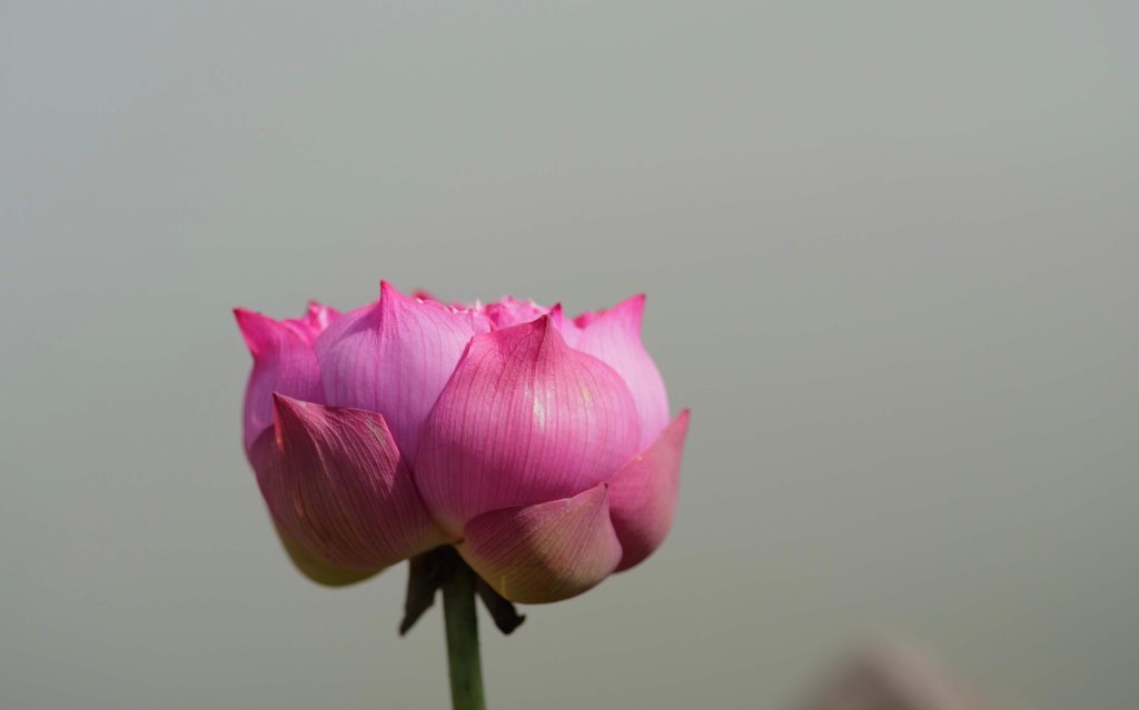 IMG_0413.jpeg