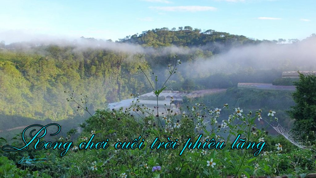 Cover Rong choi cuoi troi phieu lang xa Lat.jpg