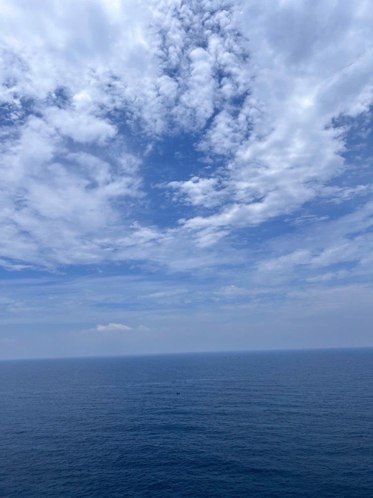 IMG_3381.jpeg